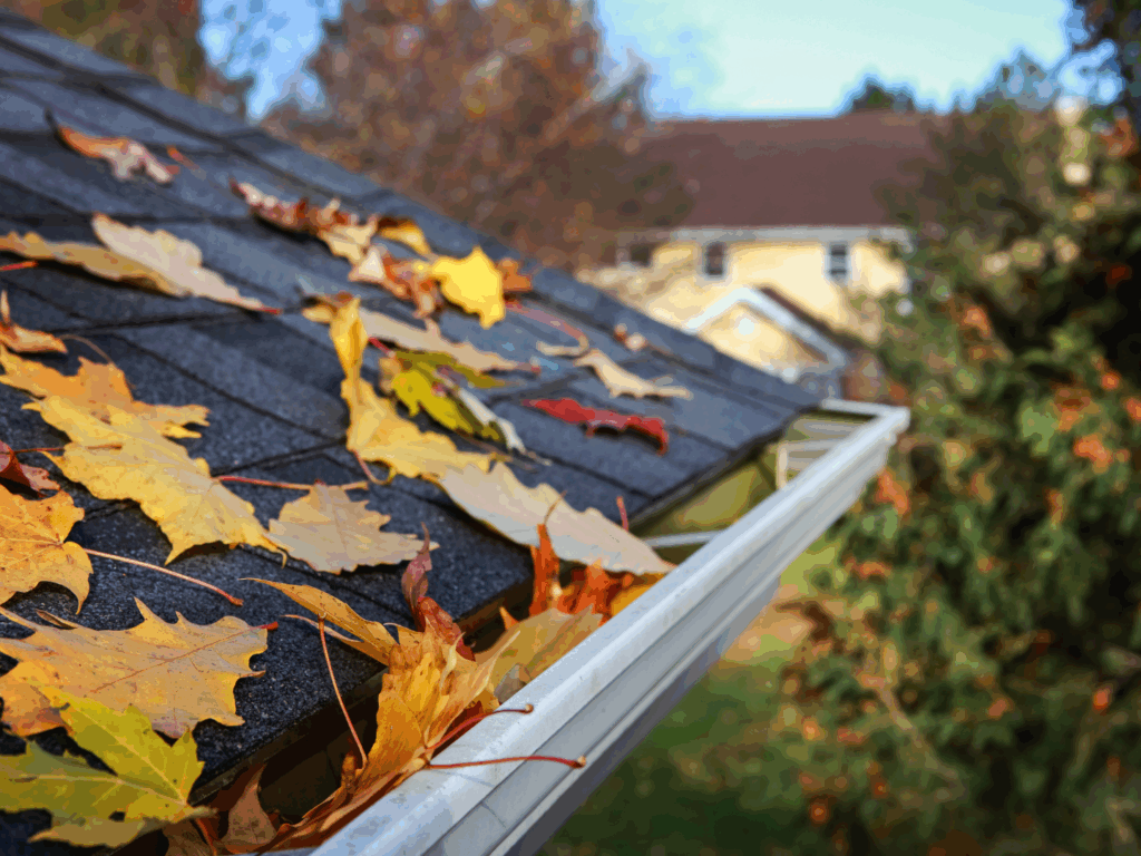 the roof of a home with fall leaves that is owned by a person who read about Fall Home Maintenance Tips